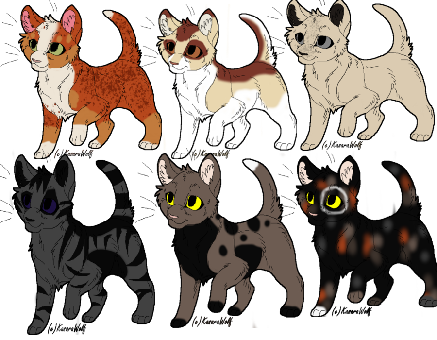 Warrior Cats Kits From ShadowClan by AcaziaLioness94 on DeviantArt