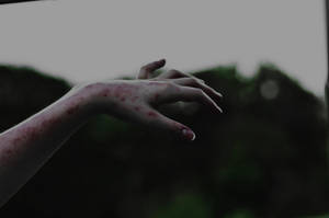 Untitled by Lover-and-the-Wild