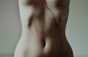 Untitled by Lover-and-the-Wild