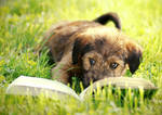 relax by Megson