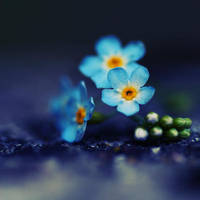 deep oceans by Megson