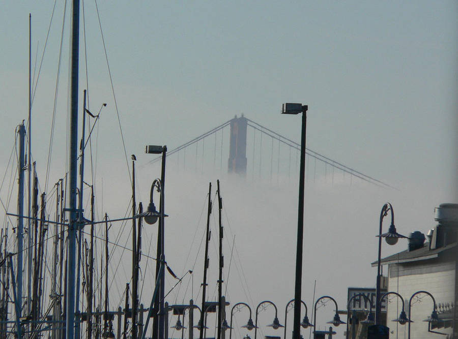 first sight of Golden Gate by RachelHWhite