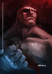 tribute street fighter 25 years_1 by zecarlos