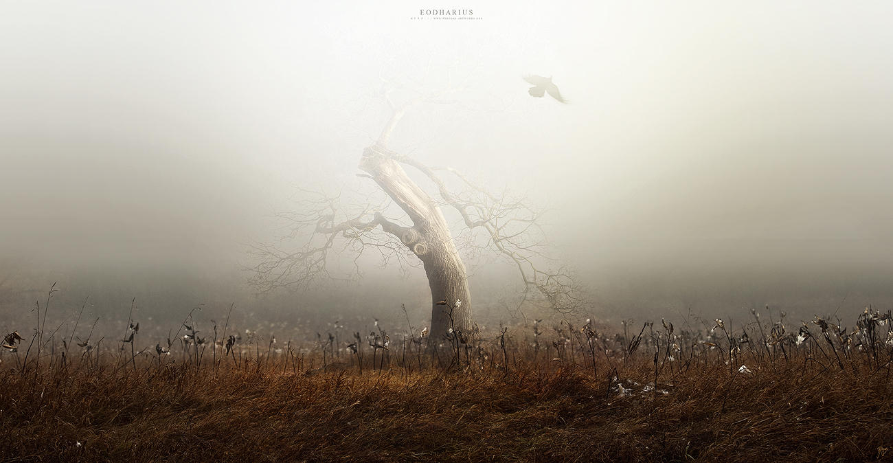 Eodharius by Pyrogas-Artworks