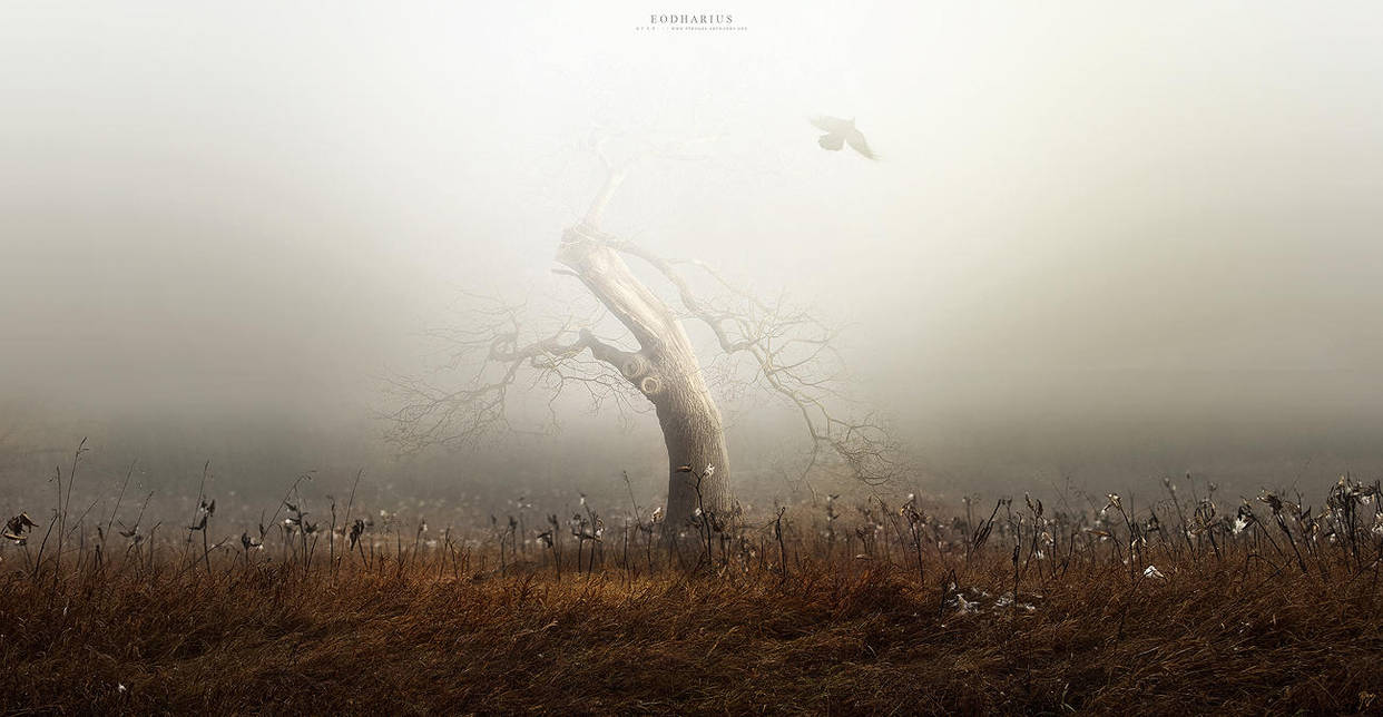 Eodharius by Pyrogas-Artworks