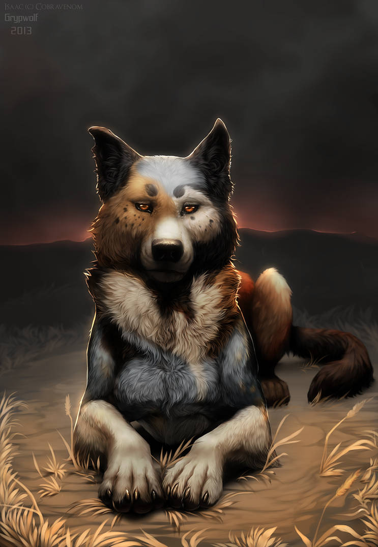 Radical Dreamer by Grypwolf Radical Dreamer by Grypwolf