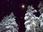 Winterland 5 STOCK by philippeL