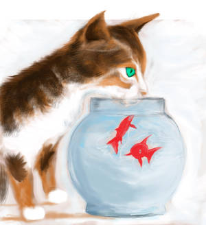 Fish Bowl by philippeL Fish Bowl by philippeL