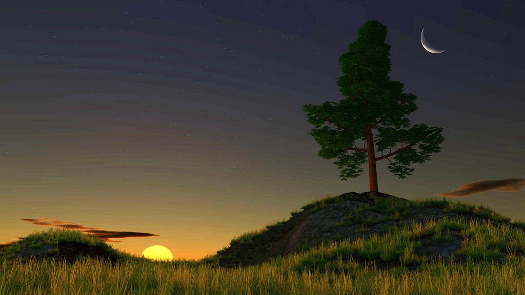 Tree at Dawn by TemanCooke