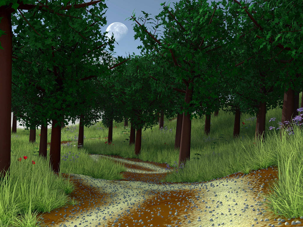 The Forest by TemanCooke