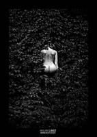 Beck-wall-leaves by rust2d