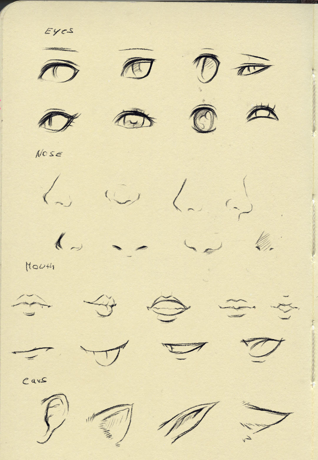 Reference (eyes,nose,mouth,ear) by ryky