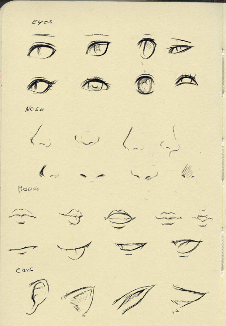 Reference (eyes,nose,mouth,ear) by ryky