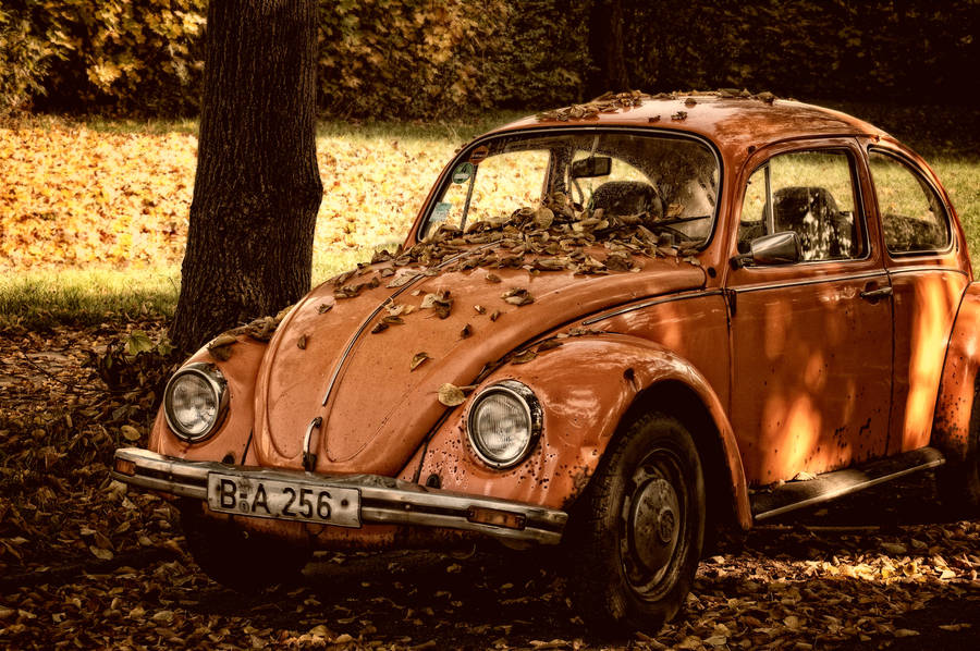 The Autumn Beetle by HannesDreyer