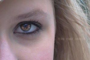 the fire inside. by Sunnygirl-17