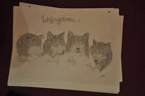 ~Wolfsgeboren by Sunnygirl-17