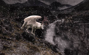 WINTER IS COMING. by Sunnygirl-17