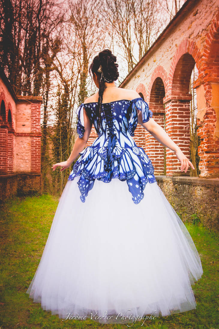 Butterfly Corset Dress