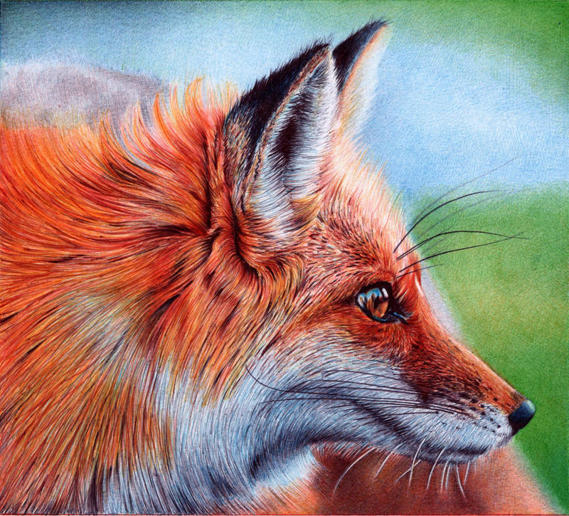 Vixen - Ballpoint Pen by VianaArts