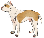 Featheryspirit custom design commission by MatrixPotato