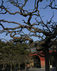 Ritan Park by passionandsoul
