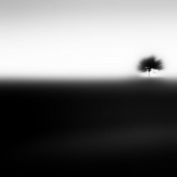 165 by neslihans
