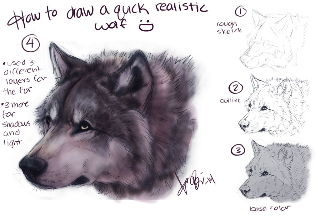 how to draw realistic wolves