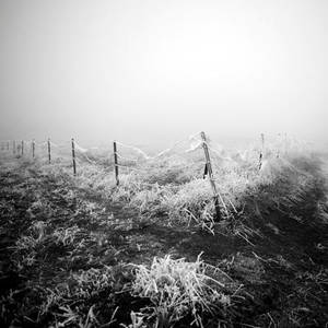white frontier by selimselimoglu white frontier by selimselimoglu