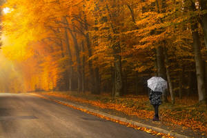 My Umbrella.1 by filth666