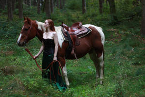 STOCK red haired woman and horse IV by MyladyTane