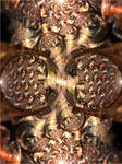 Royal attitude by FractalDesire