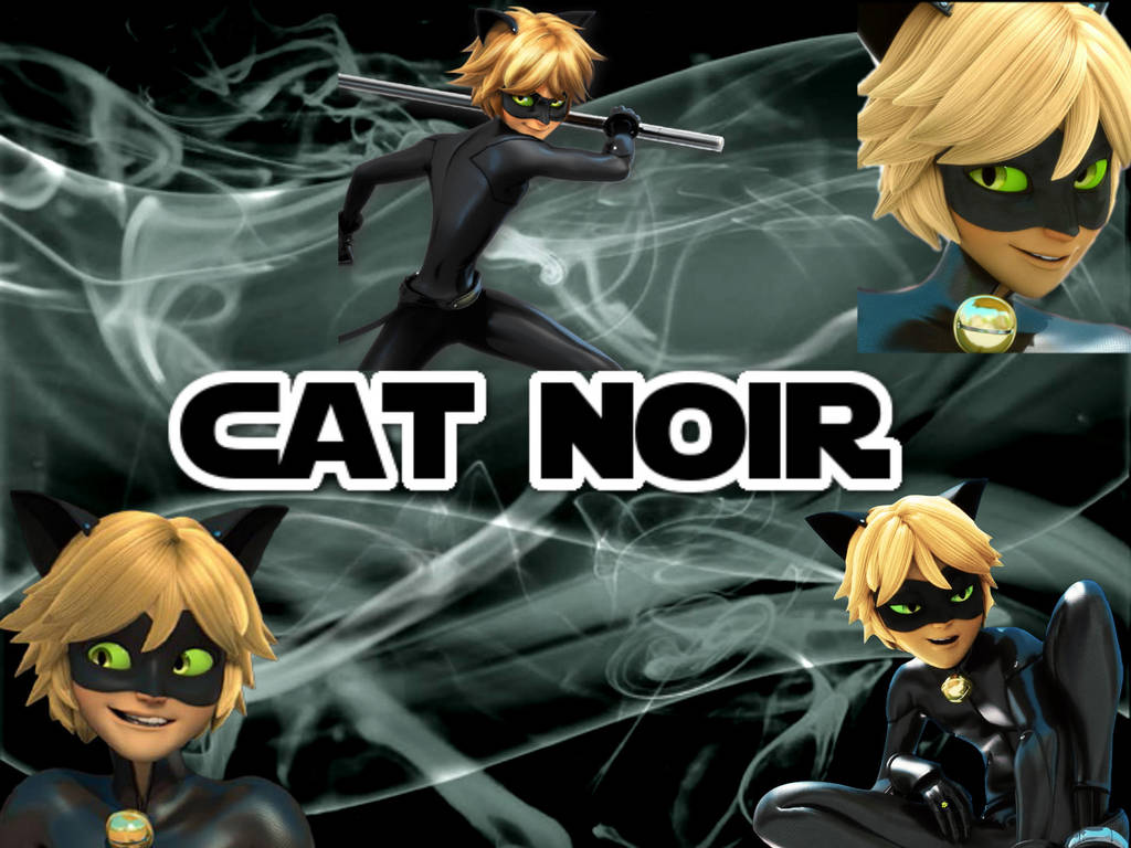 Miraculous Cat Noir Wallpaper By Nathaliatmntlover On Deviantart