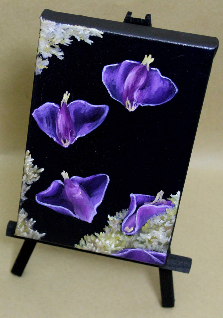 Sea Slugs by crazycolleeny