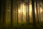 Portrait of a Dream by kkeman
