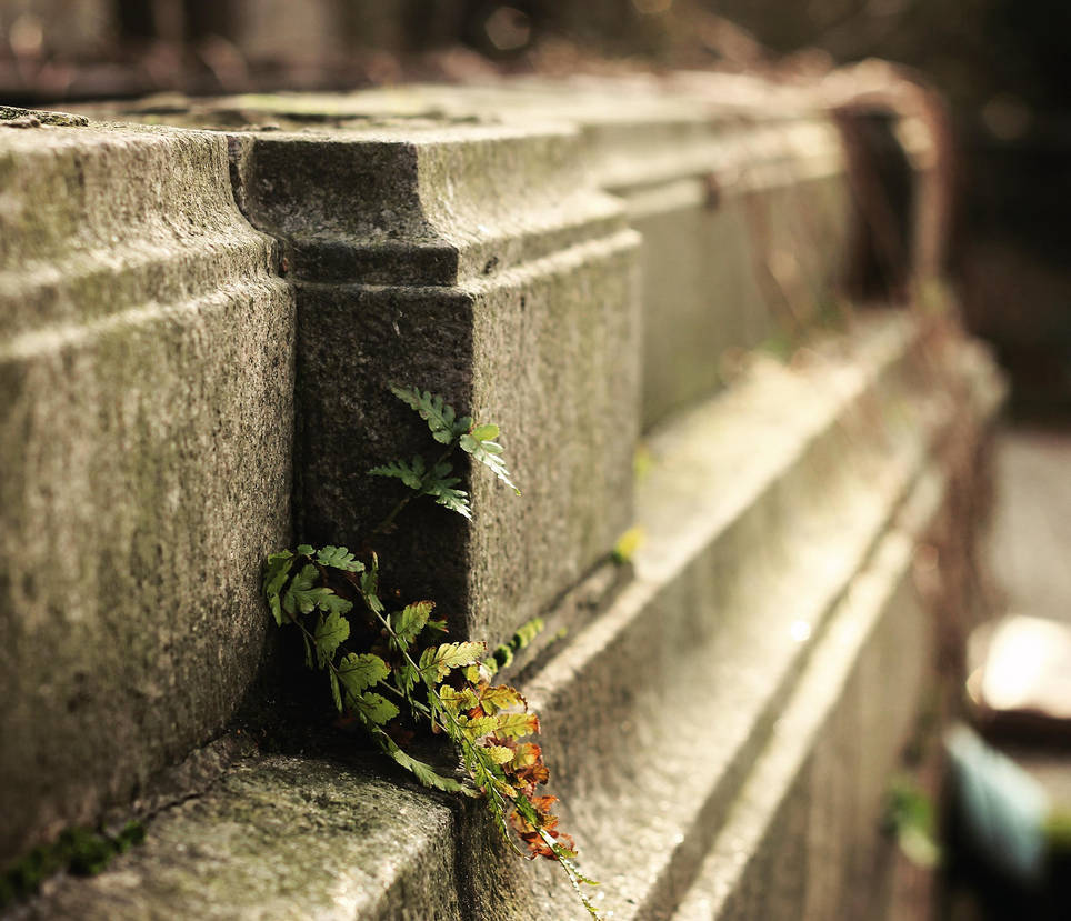 Life finds a way by Peterix