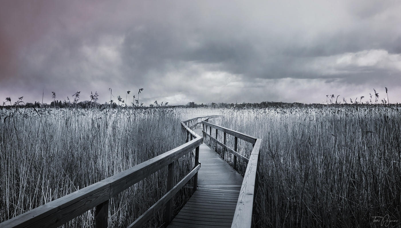 The Path V by Pajunen on DeviantArt