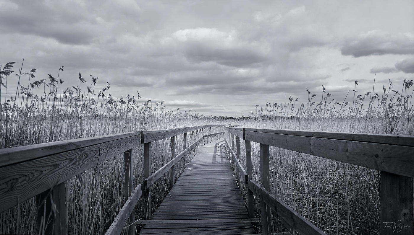 The Path V by Pajunen on DeviantArt