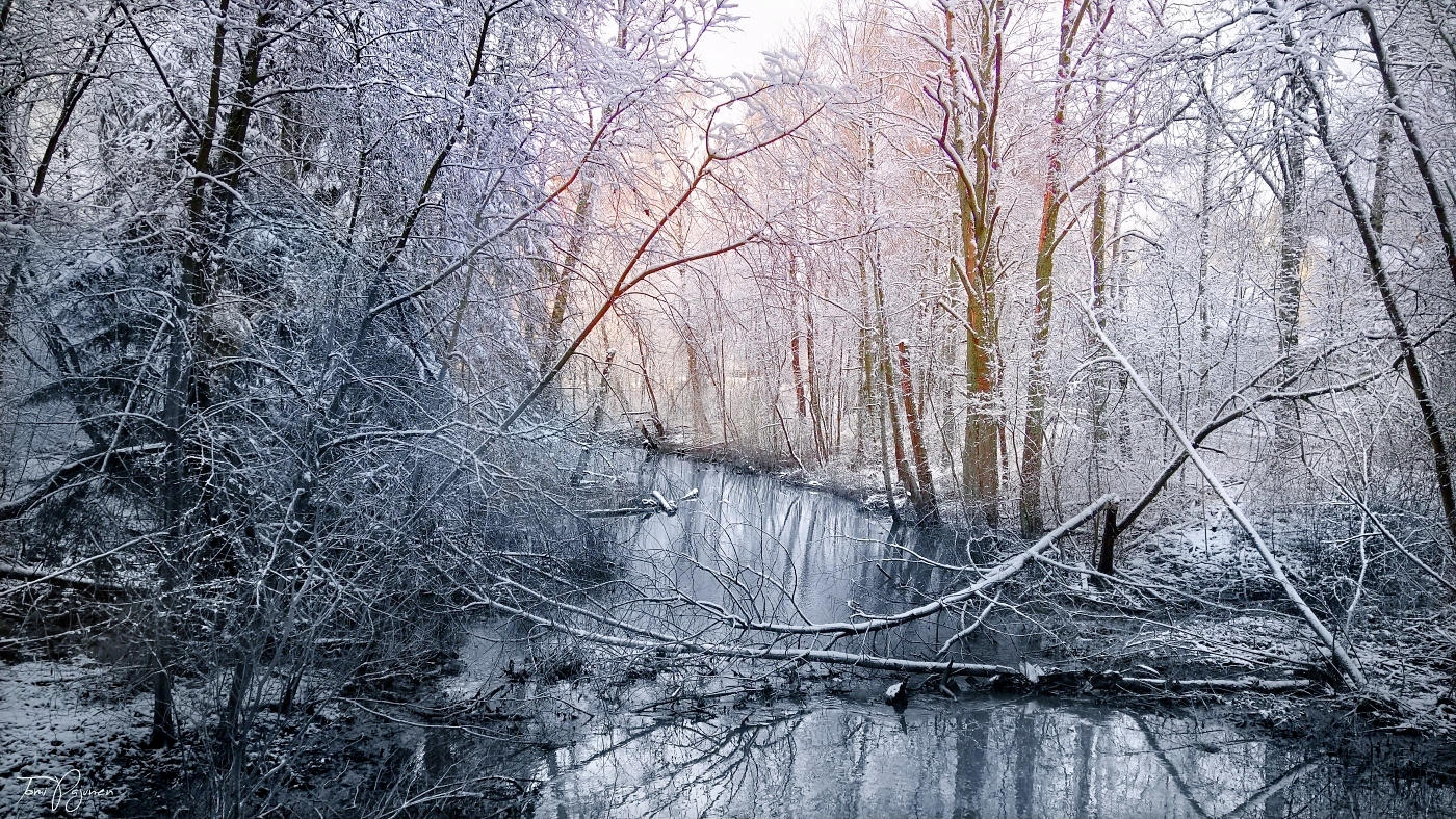 Winter Creek by Pajunen