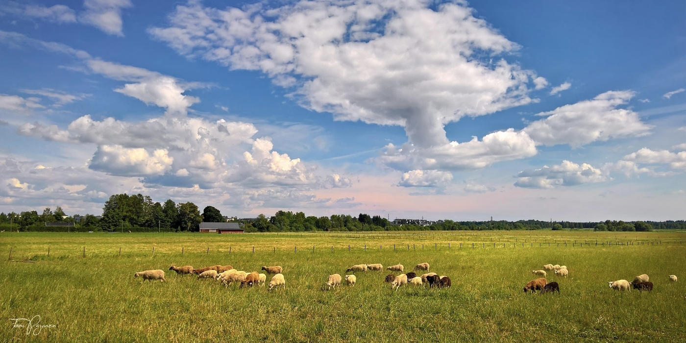 Rural Helsinki by Pajunen