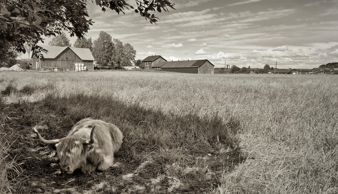 Rural Helsinki II by Pajunen