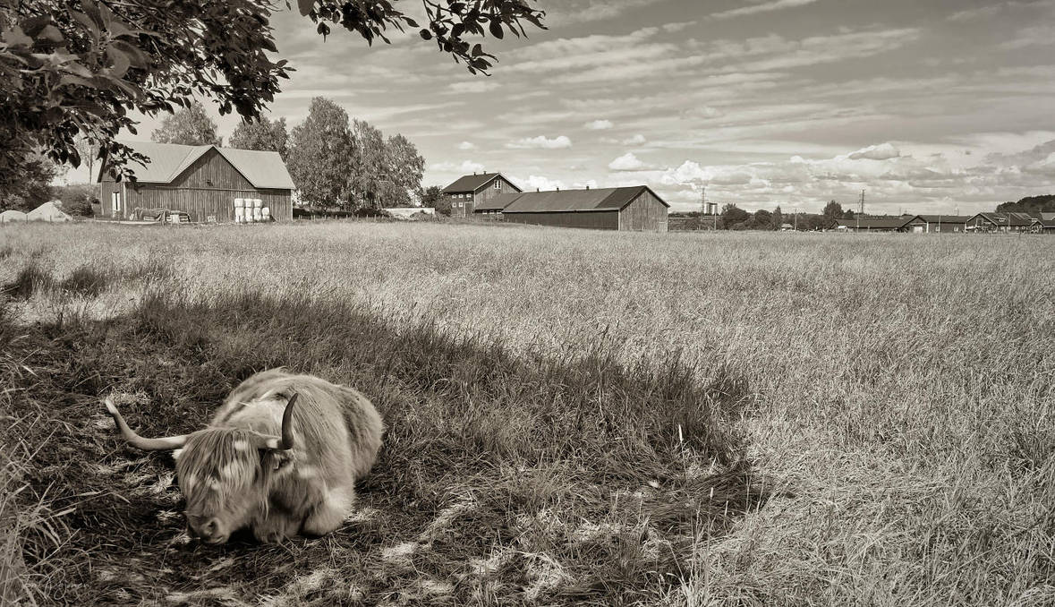 Rural Helsinki II by Pajunen