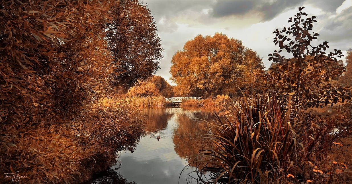autumn_park_by_pajunen_dcsgs15-pre.jpg
