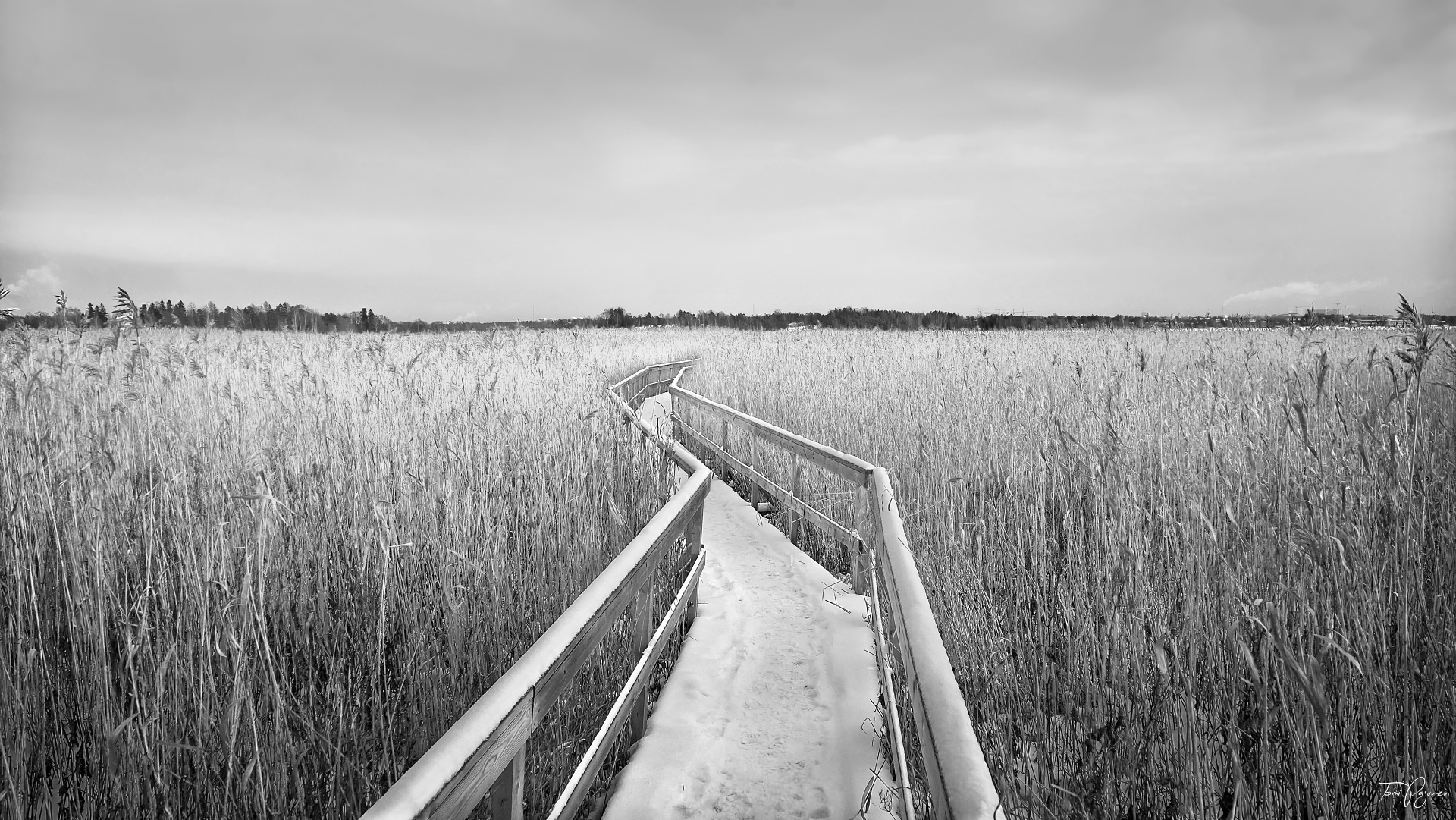 The Path V by Pajunen on DeviantArt