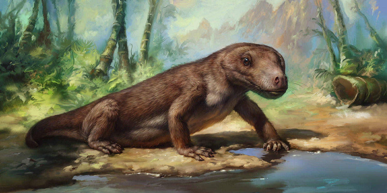 Bauria by EldarZakirov