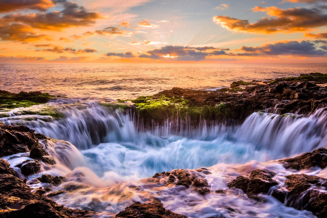 Natural Pool by StefanPrech Natural Pool by StefanPrech