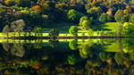 Autumn Glow III by bongaloid