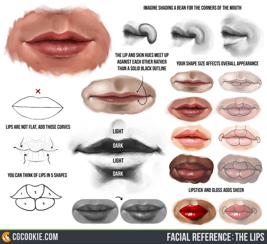 Facial Reference: The Lips by CGCookie