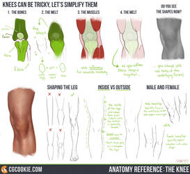 Anatomy Reference: The Knee by CGCookie