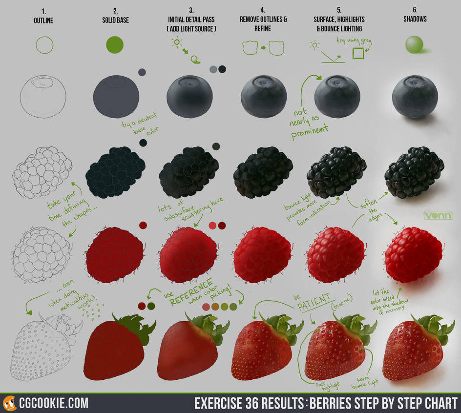 Exercise 36 Results: Berries Step by Step Chart by CGCookie