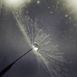 winter kiss III by JoannaRzeznikowska